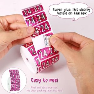 500pcs 2024 Year Stickers, 3/4x1-1/2 Inch File Folder Year Stickers 24 Year Labels Rectangle End Tab Labels for Office Party Decorations Files Classification (Holographic Rose Red) : Office Products