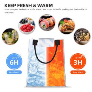 Dupont paper lunch bag eBaydiy POD