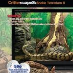 ScreenscapeS: Snake Terrarium II (Video Screensaver for your TV!)